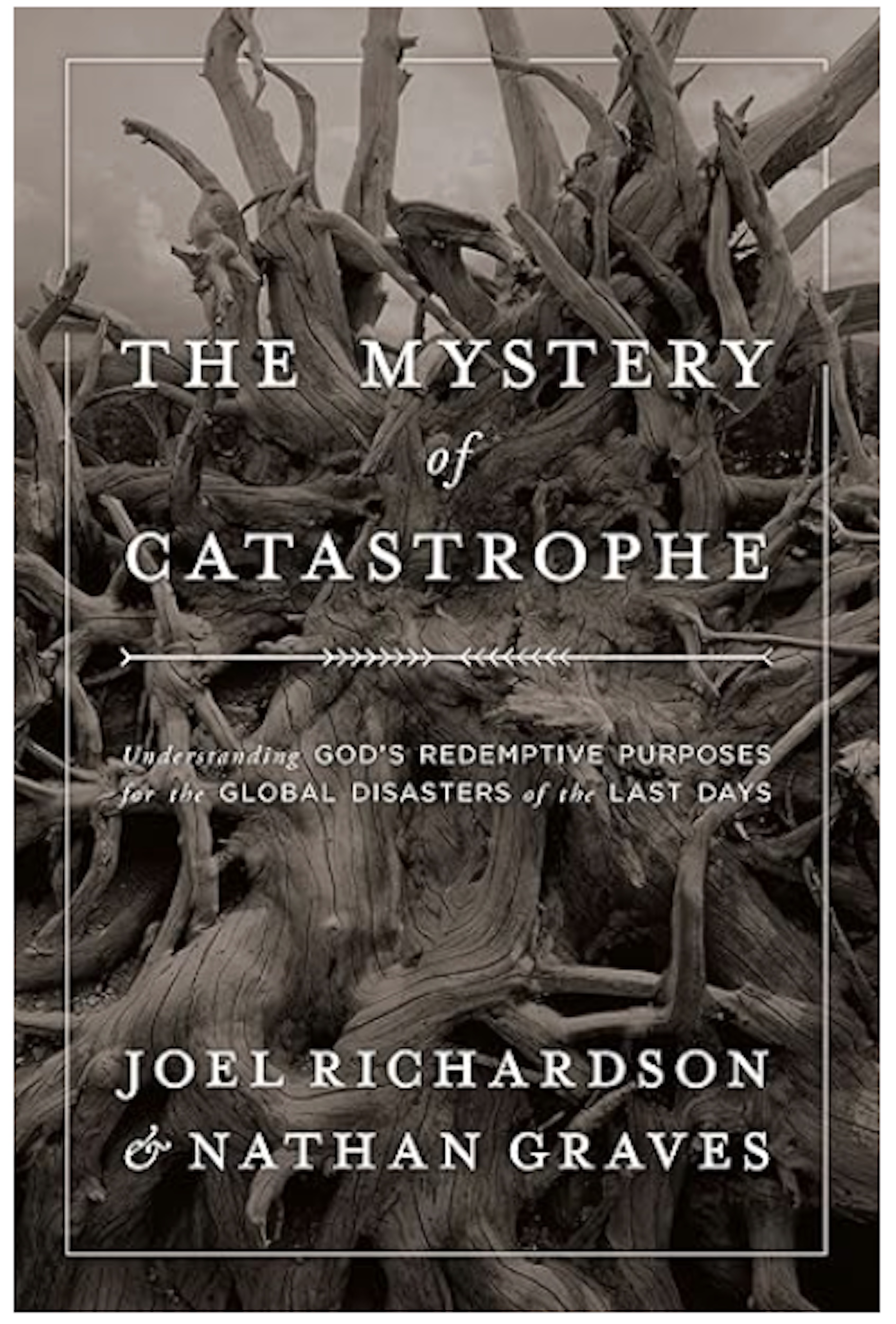 The Mystery of Catastrophe