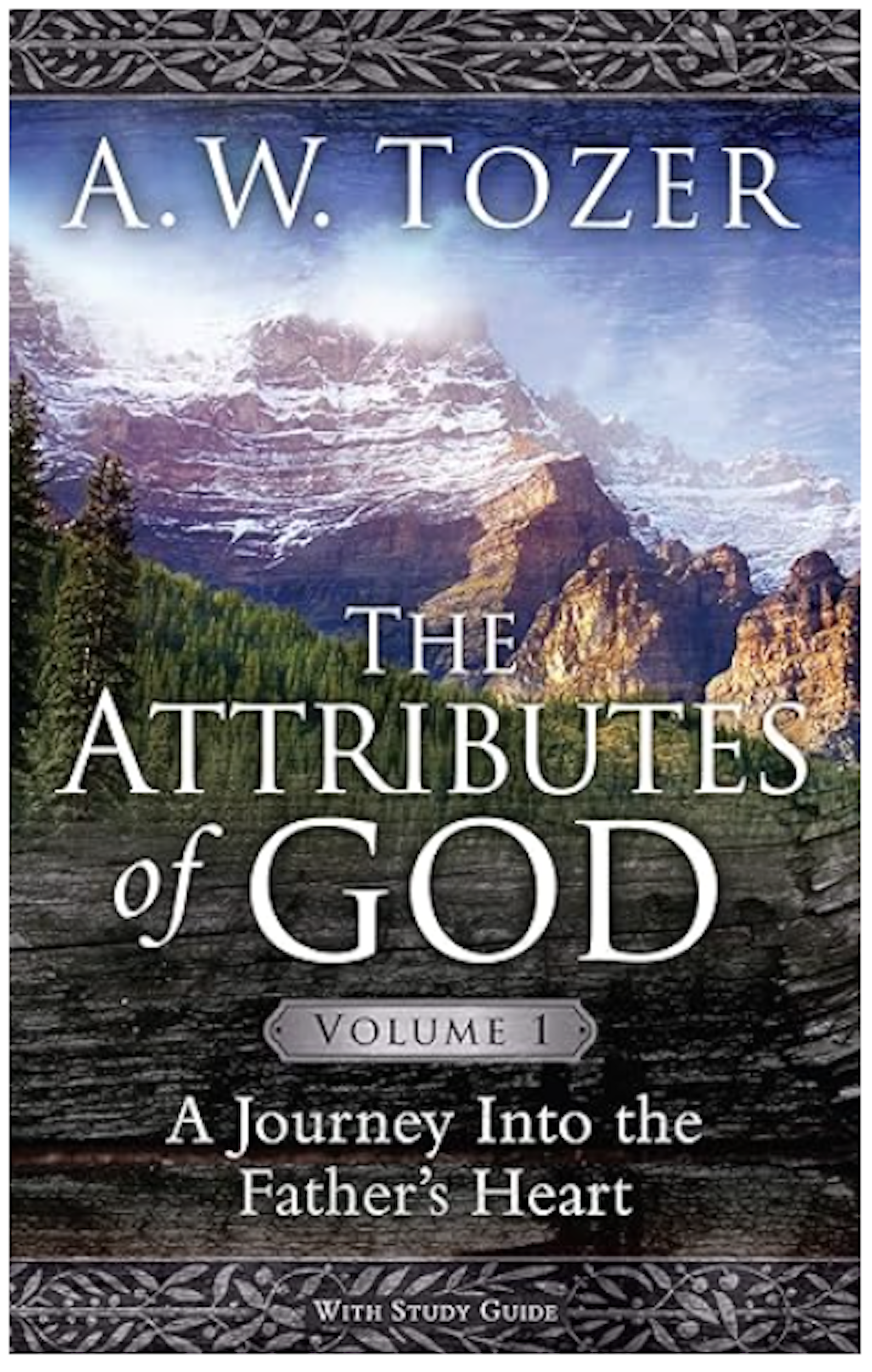 The Attributes of God Vol. 1