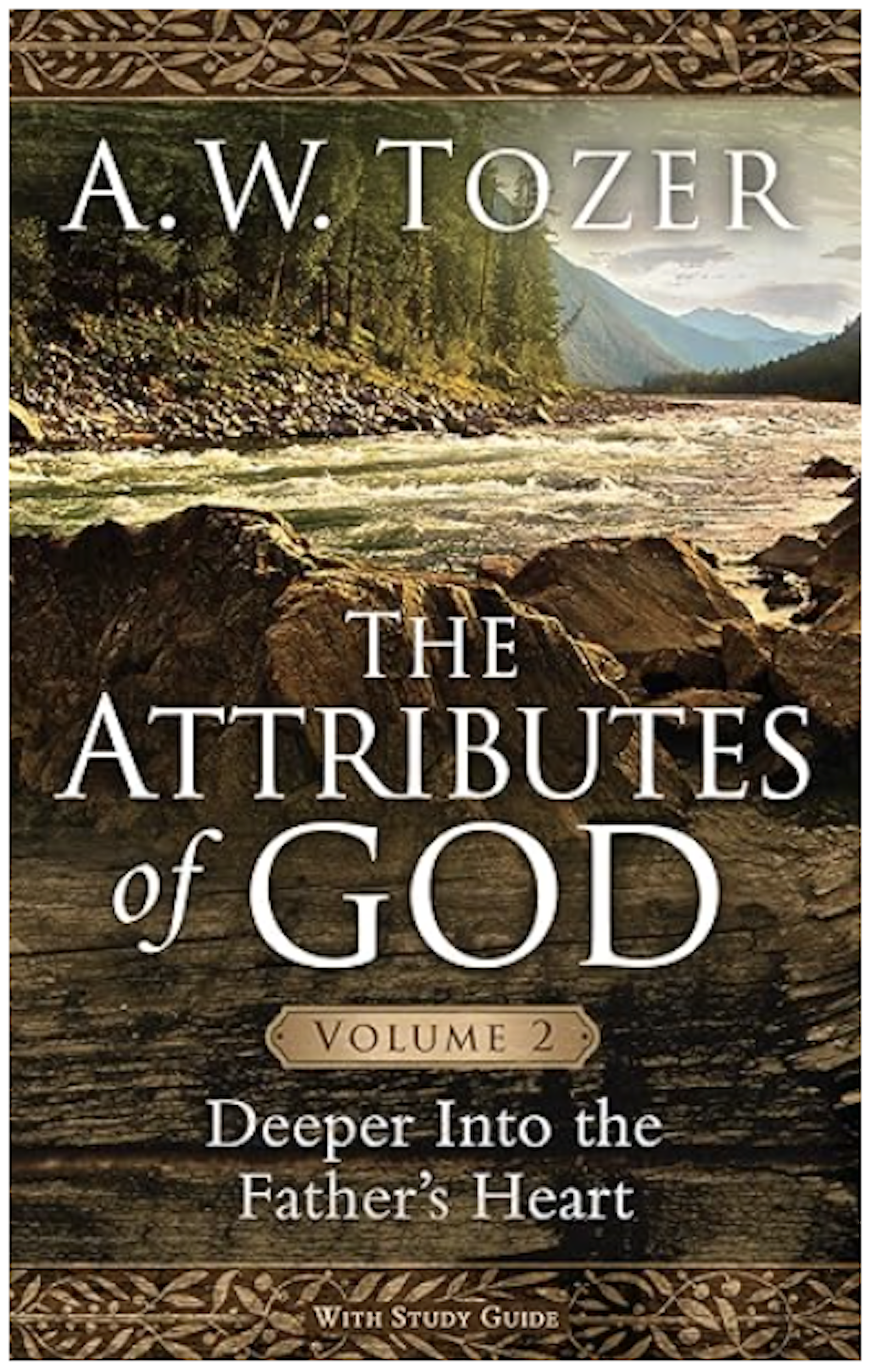 The Attributes of God Vol. 2